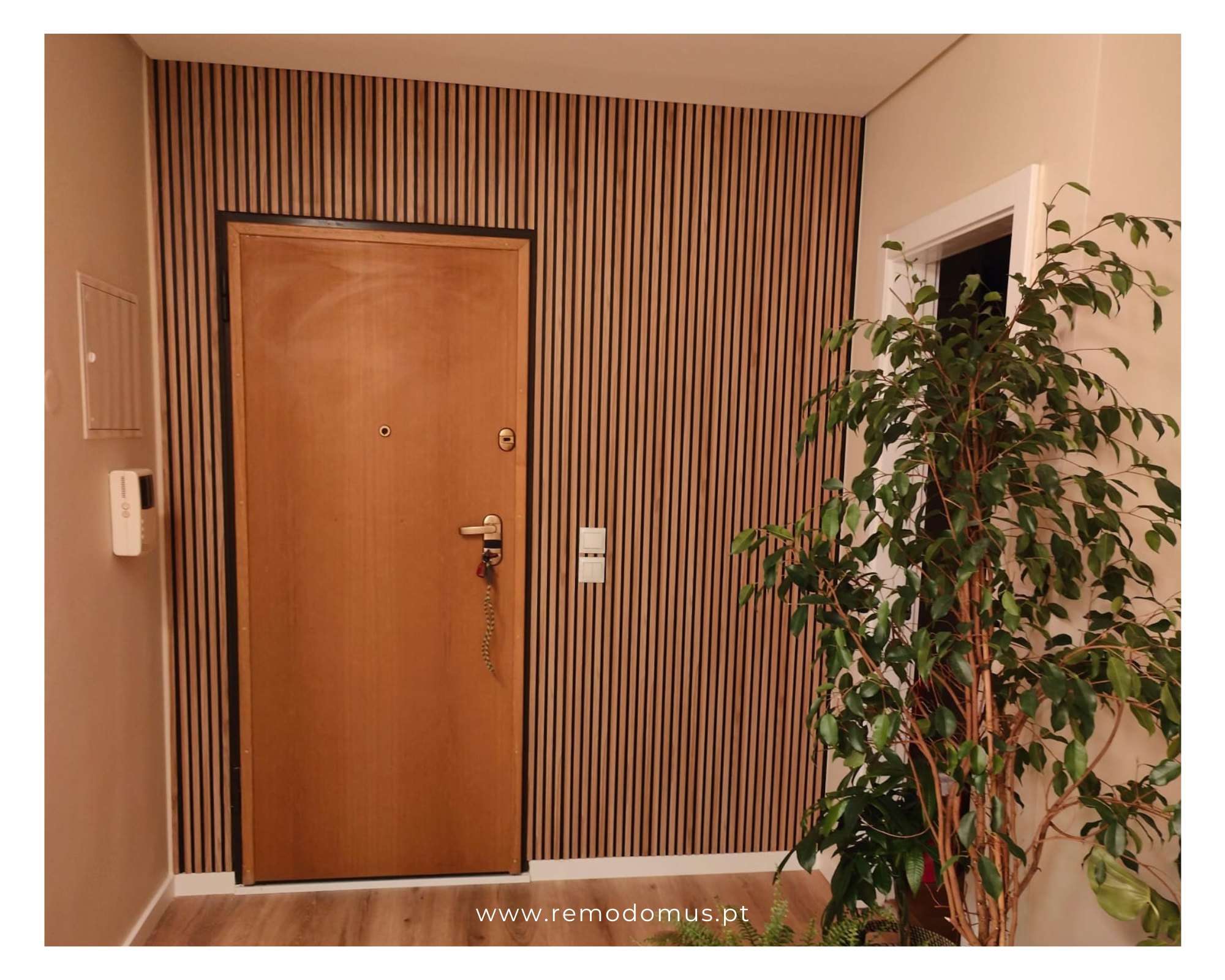 Web Design – Gestão de Redes Sociais | Remodomus, Lda